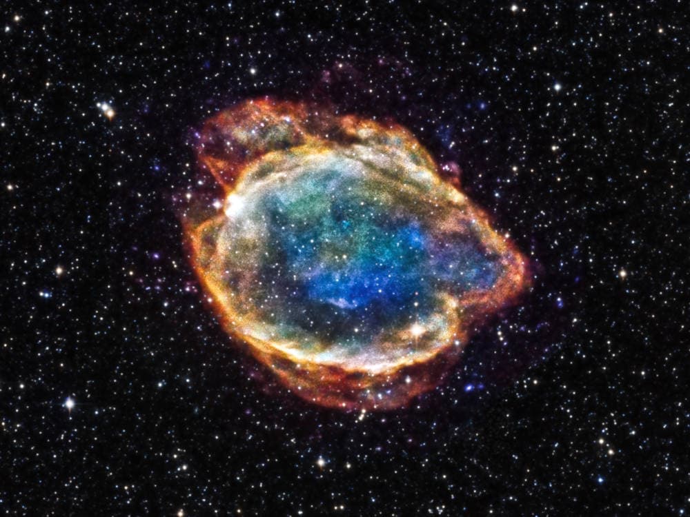 The fault in our startups