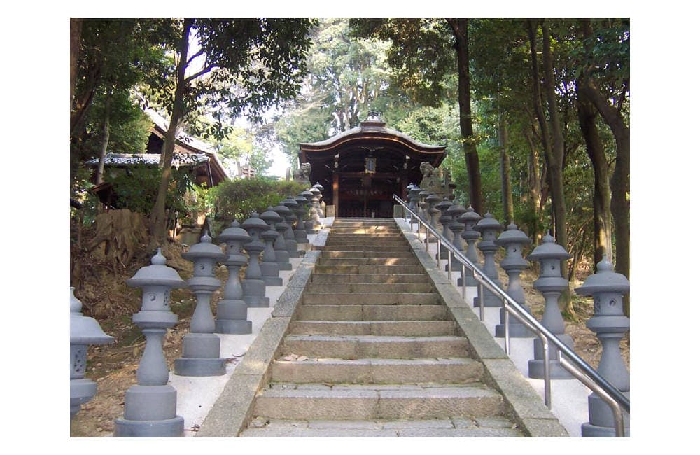 FF Daily #501: The connection between beauty and function