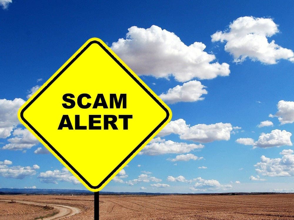 FF Insights #666: How to clean up a scam