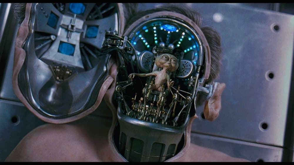 FF Life: The mental accountant