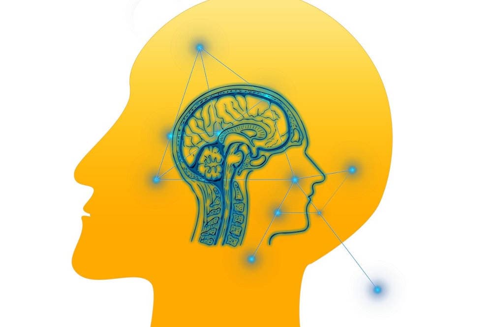 FF Life: Systems thinking — Seeing the whole