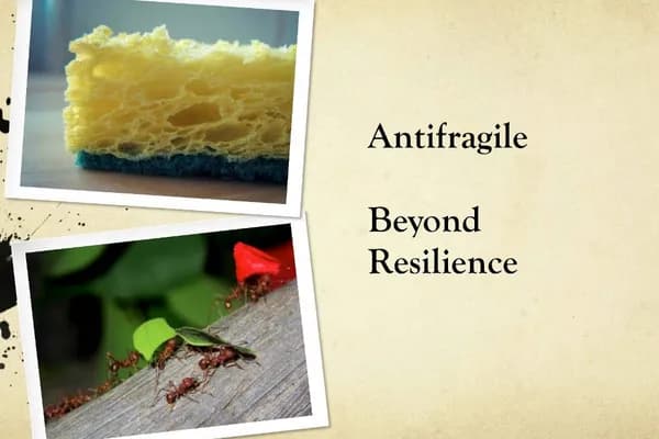 The absence of fragility