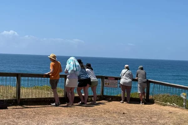 Where the Warm North Meets the Cool South