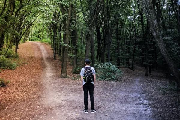 FF Life: Making better investing decisions by anticipating errors