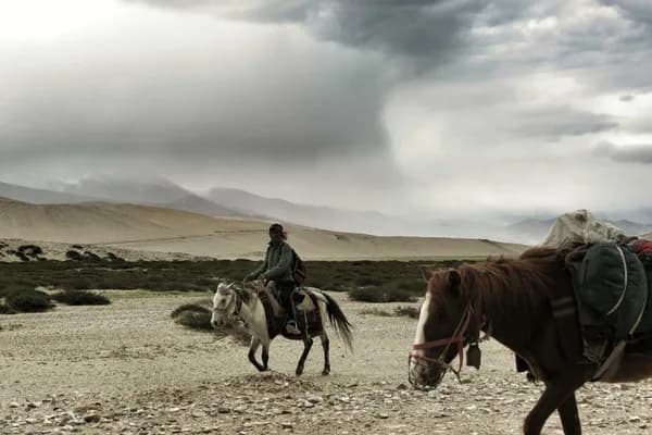 Where the Land Is Home