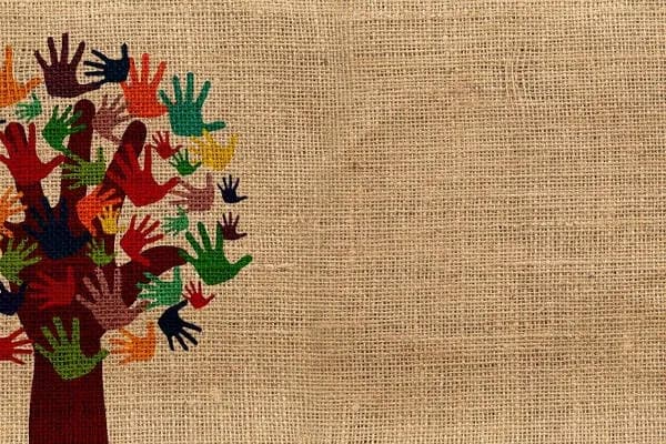 The doughnut and the hole