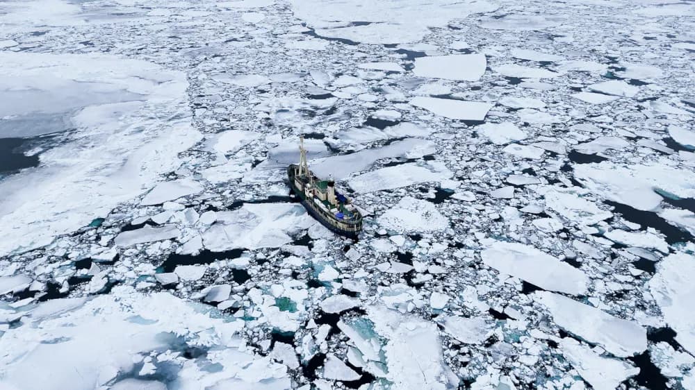 Reconnecting with the outdoors