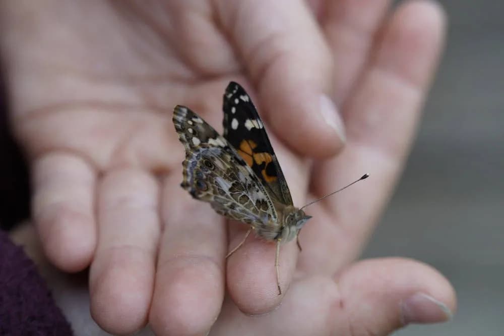 FF Daily #236: The hunt for knowledge