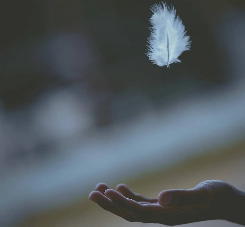 FF Recommends: How to stay calm and carry on