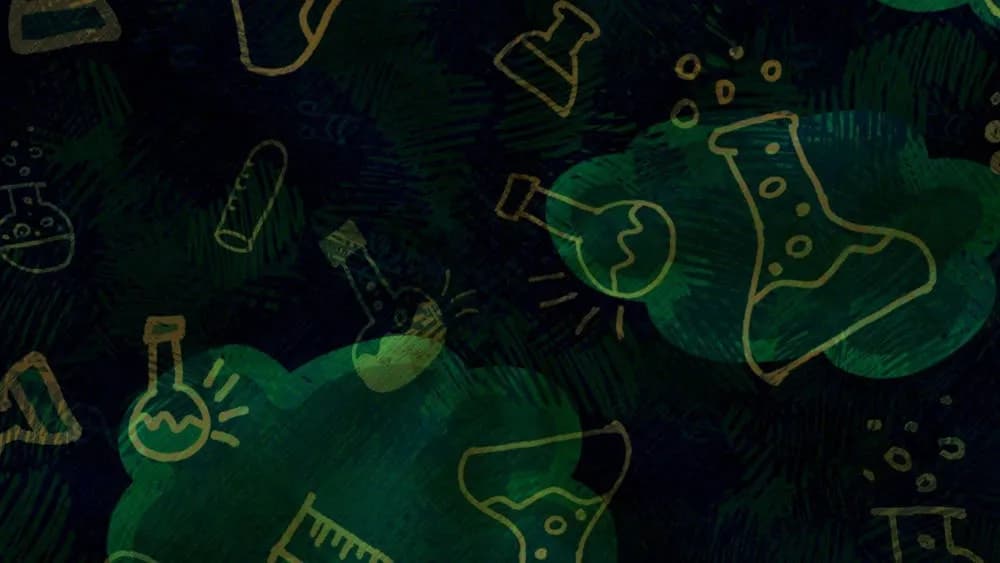 FF Insights #625: The pattern of truth