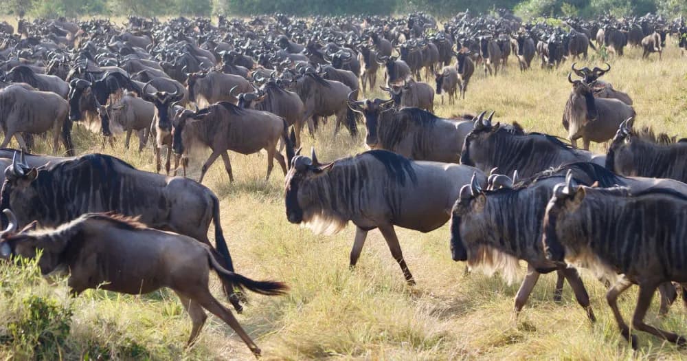 Best of FF Life 2025