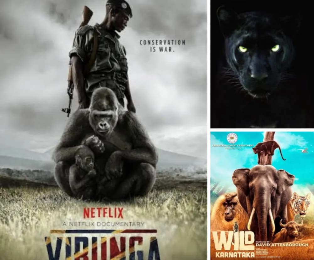 FF Recommends: Six wildlife documentaries