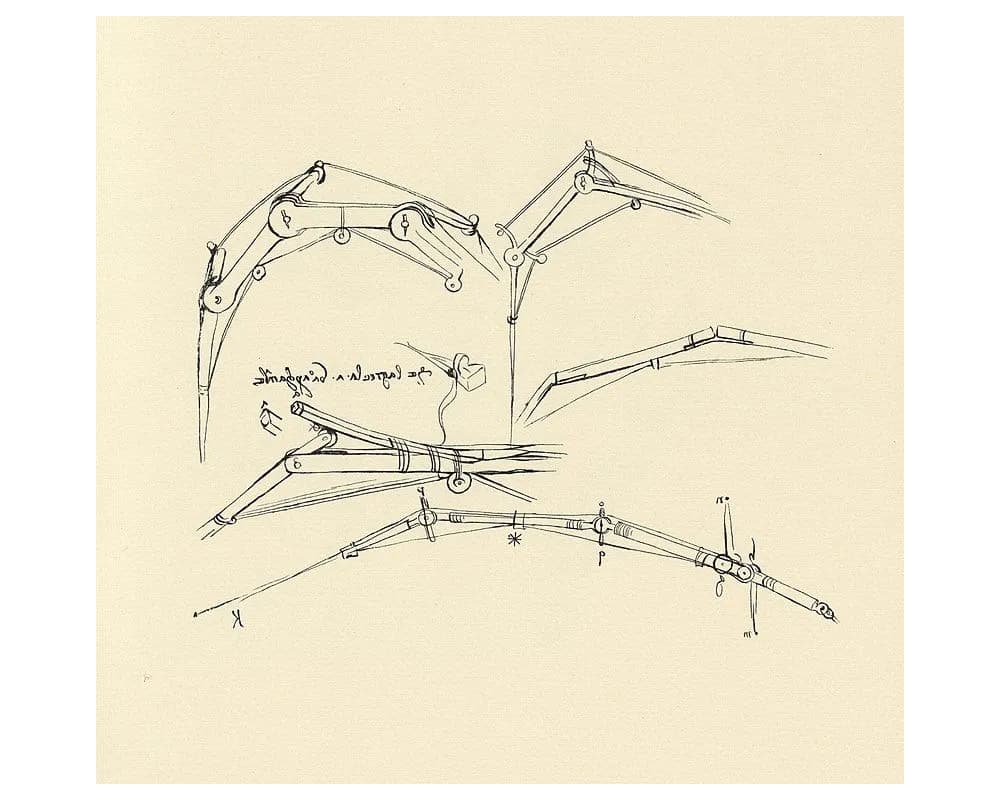 FF Insights #582: Wings of hope